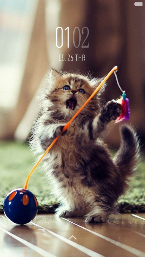 Lovely screenshot