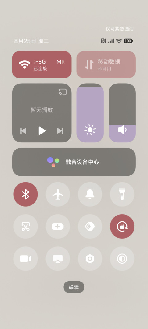 ins 星落与玫瑰 screenshot