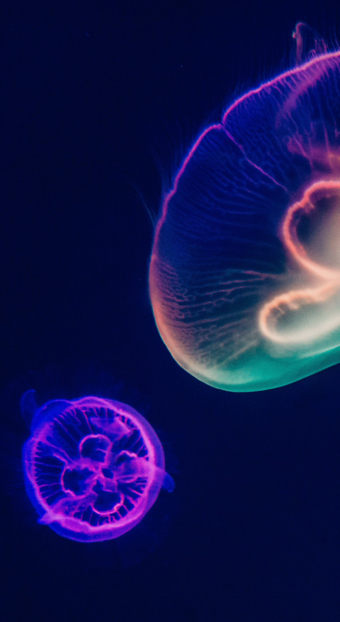 Underwater (5) screenshot