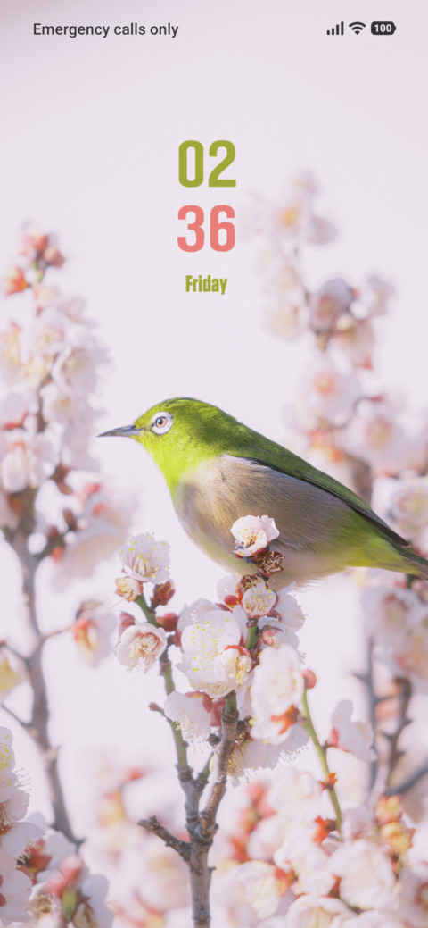 Small Bird screenshot