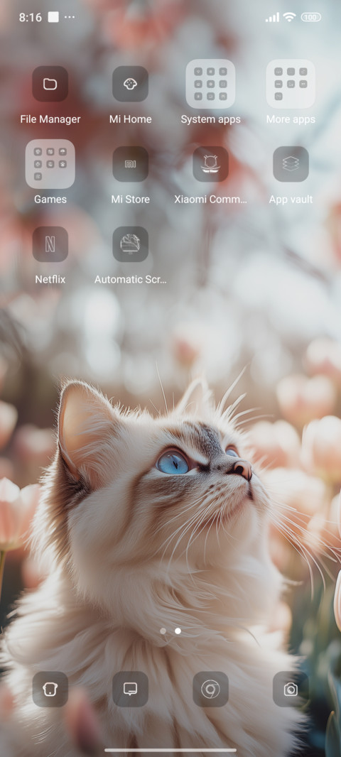 Ragdoll Cat screenshot