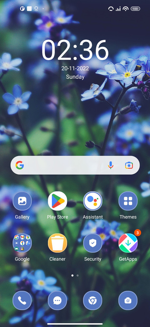 Tulips screenshot