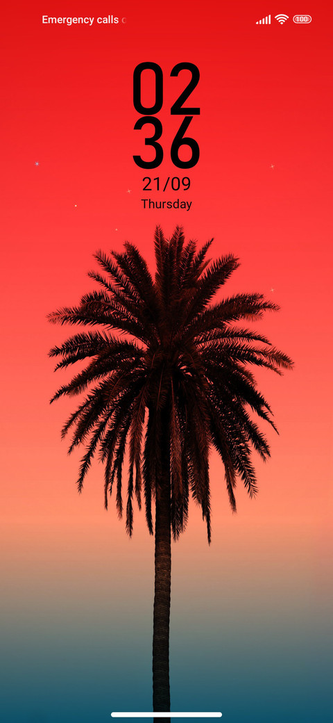 Palm m14 screenshot