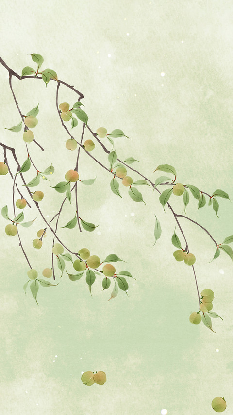 Dont eat green plums raw screenshot