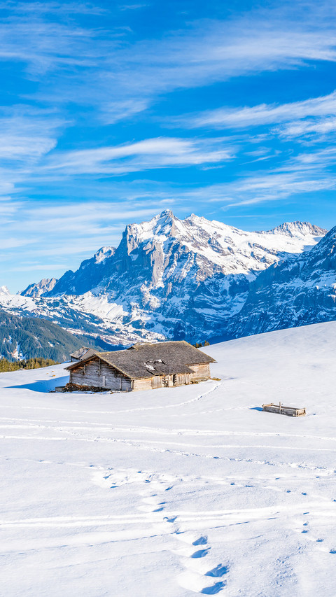 Winter landscape with snow Swiss Alps screenshot