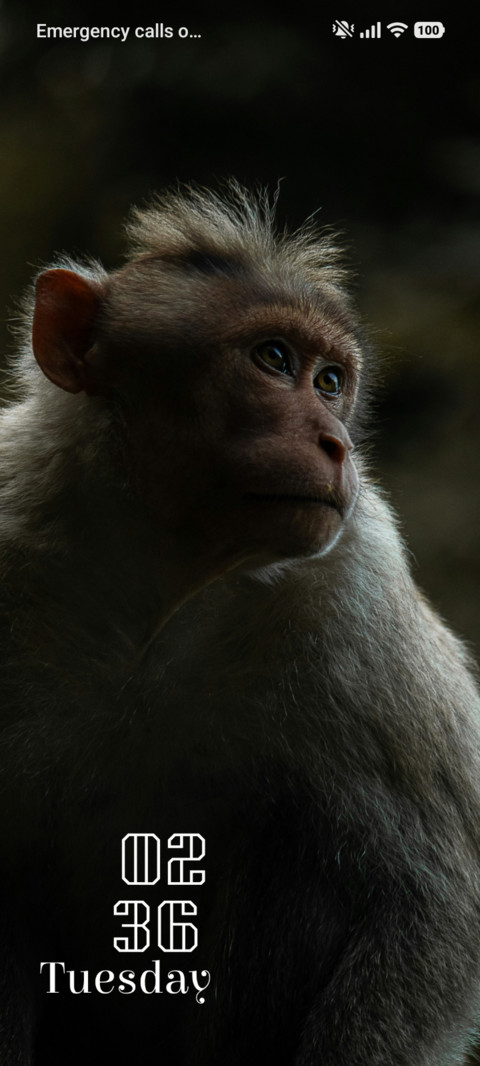 Curious Eyes screenshot