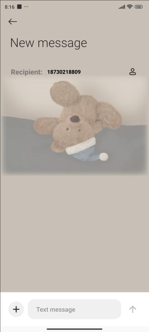 Cute Bear screenshot