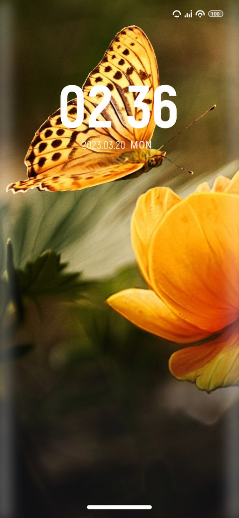 Butterfly screenshot