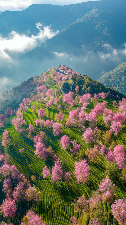 The most worthwhile place to visit in yunnan in winter screenshot