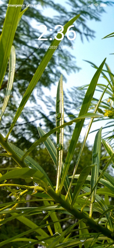Water Drops_DWM2 screenshot