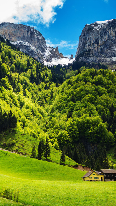 Trees and mountains screenshot