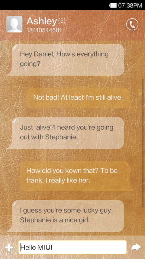 Premium leather screenshot
