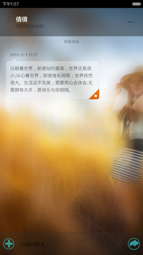 麦田的回忆（自定义锁屏） screenshot