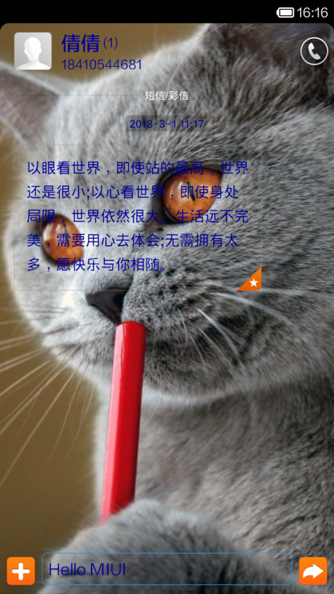 猫咪爱 screenshot