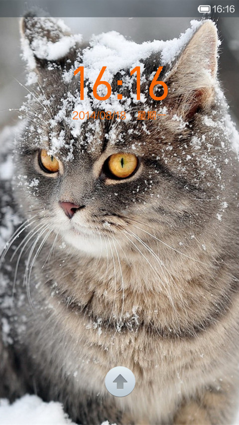 猫咪爱 screenshot