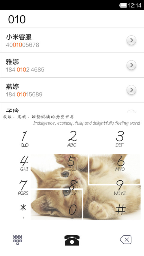 我是你的宠(图标全覆盖+锁屏多功能) screenshot