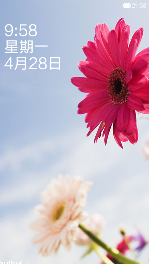 花 screenshot