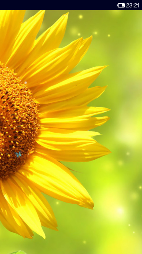 Sunshine screenshot